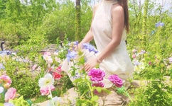 网游之风流骑士txt下载